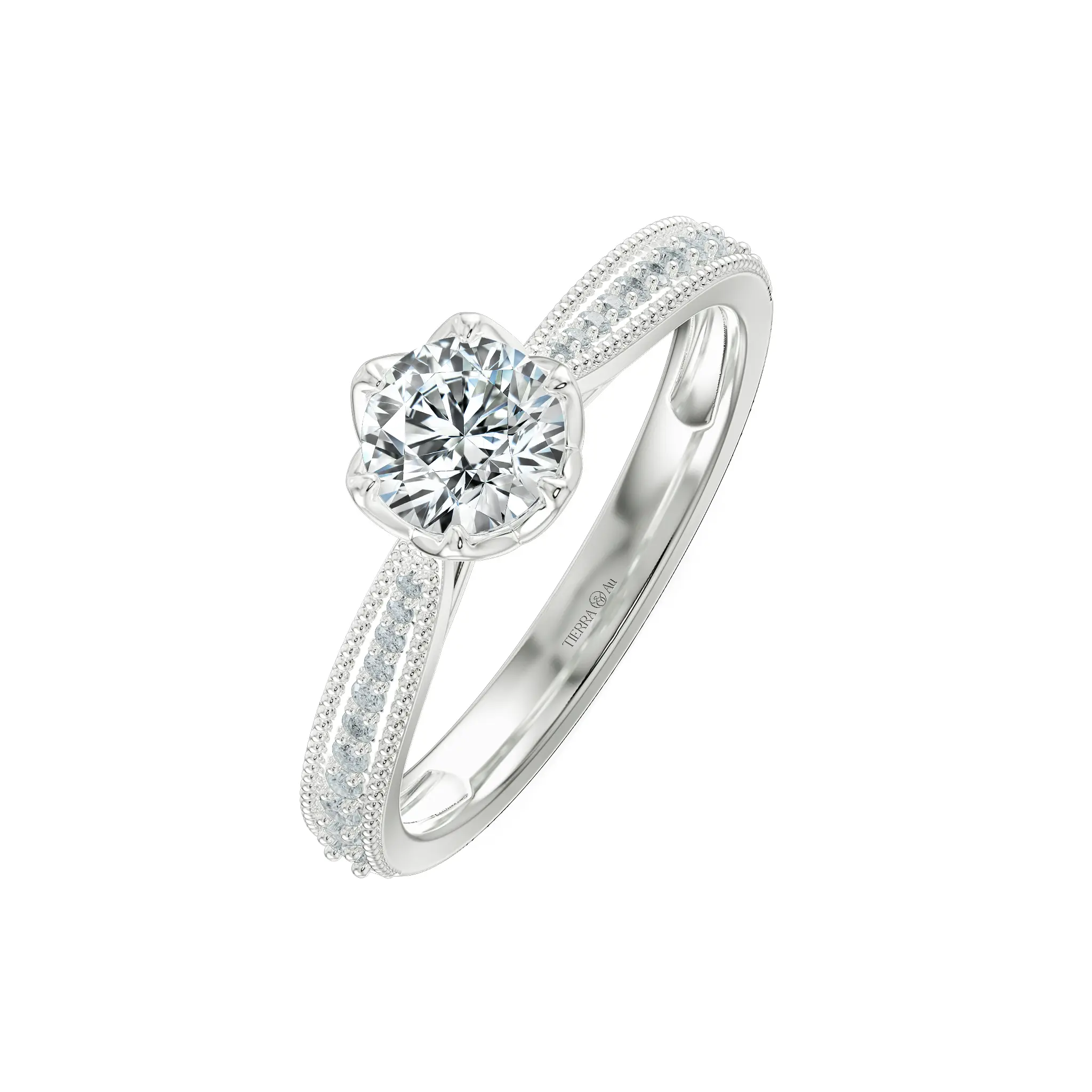Image Related Product