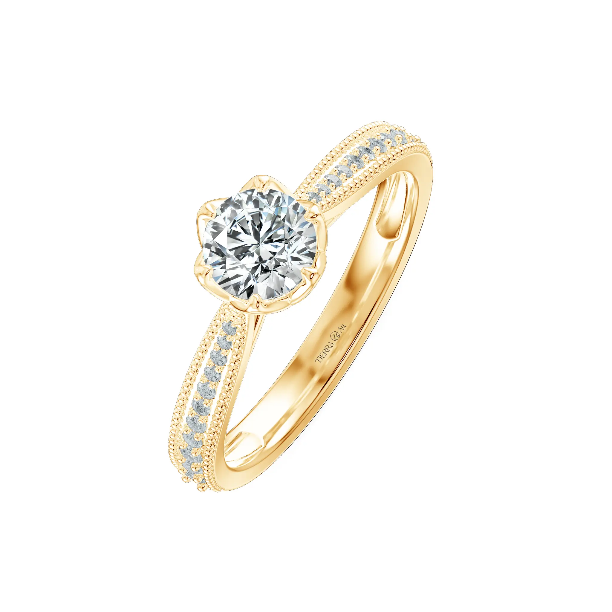 Image Related Product
