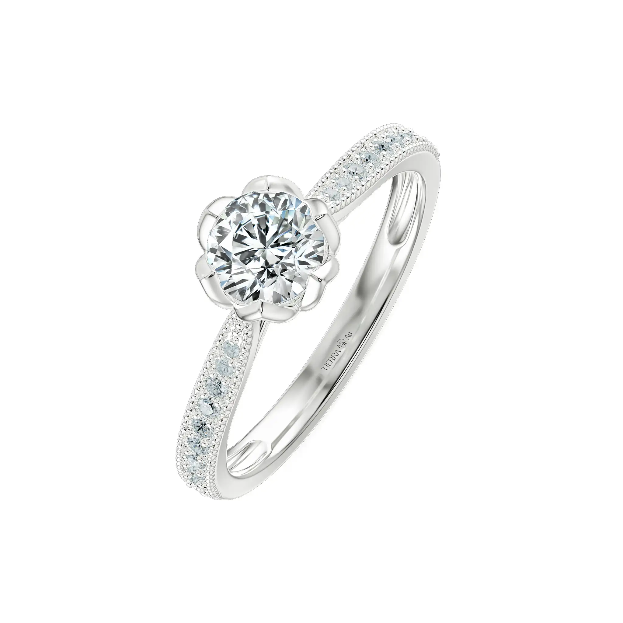 Image Related Product