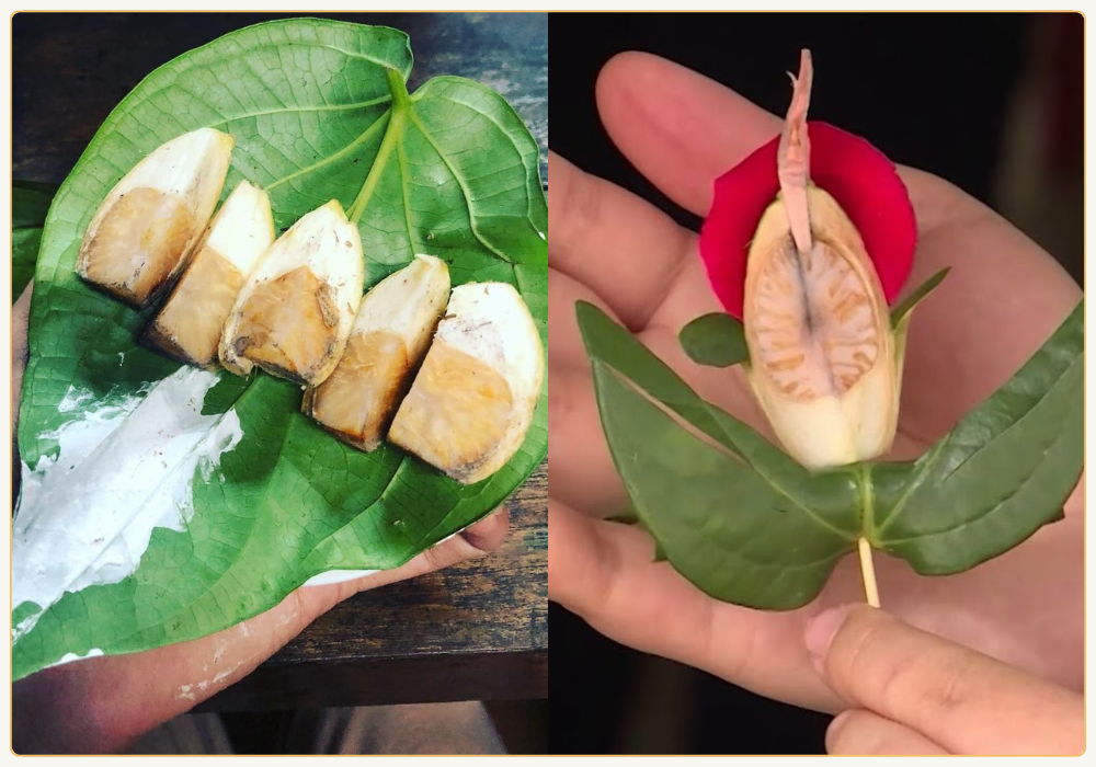 Trầu cánh phượng được nhiều người ưa chuộng trong cưới hỏi