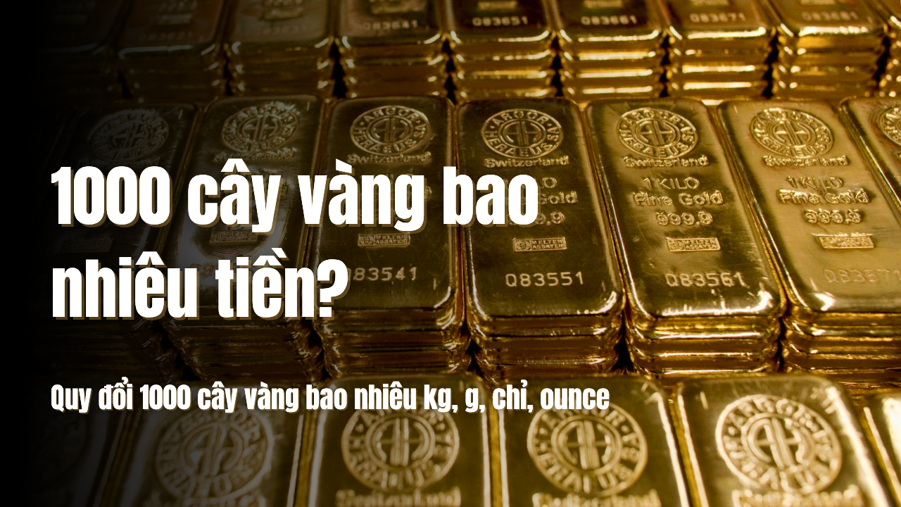 1000 cây vàng bao nhiêu tiền