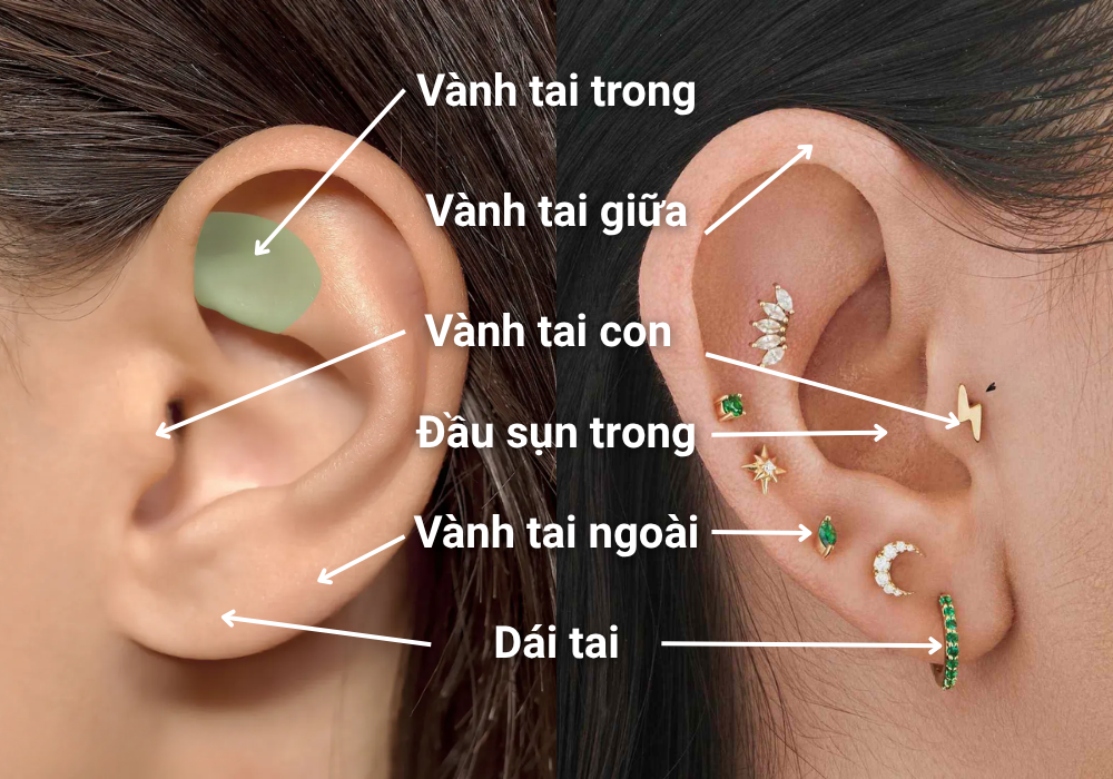 Bấm lỗ tai có đau không? Bấm lỗ tai bao lâu thì lành? 3 bấm lỗ tai có đau không