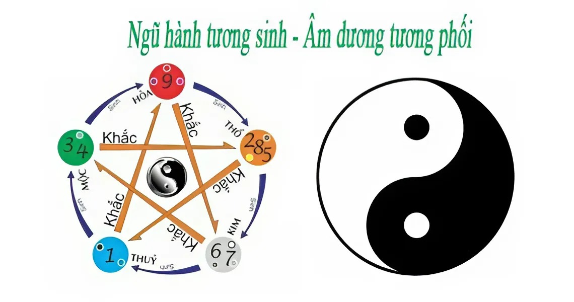 Chọn SIM hợp mệnh Mộc theo ngũ hành tương sinh - tương khắc