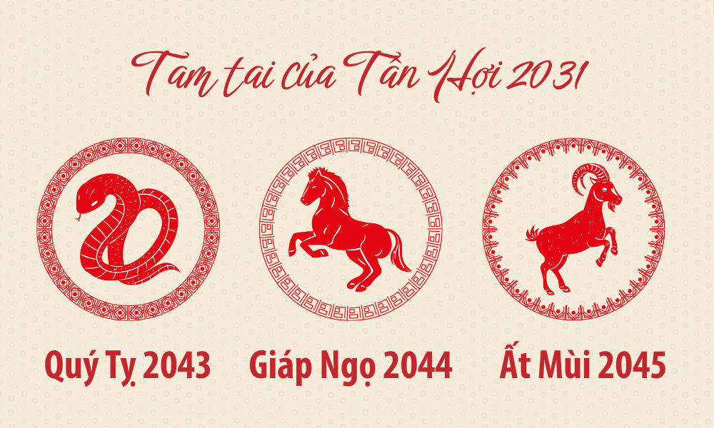 Sinh năm 2031 mệnh gì? Tử vi vận mệnh trọn đời tuổi Tân Hợi 2031 12 Cách tính tam tai tuổi Tân Hợi 2031