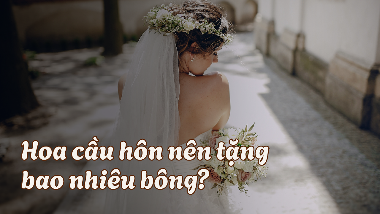 Nên tặng hoa cầu hôn bao nhiêu bao nhiêu bông