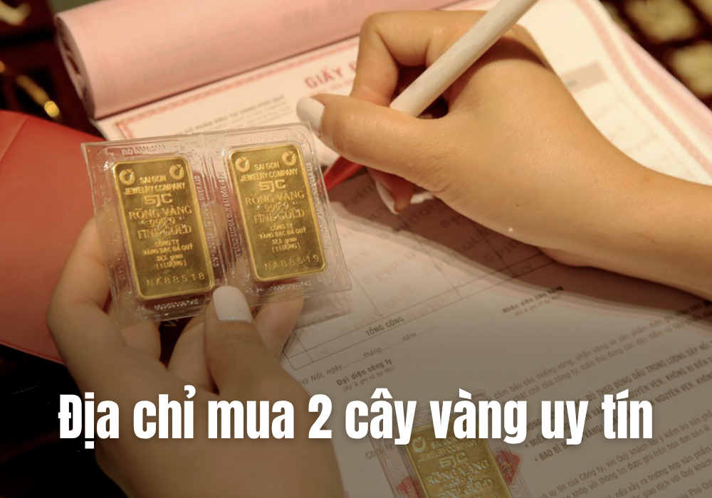 Mua 2 cây vàng ở đâu uy tín