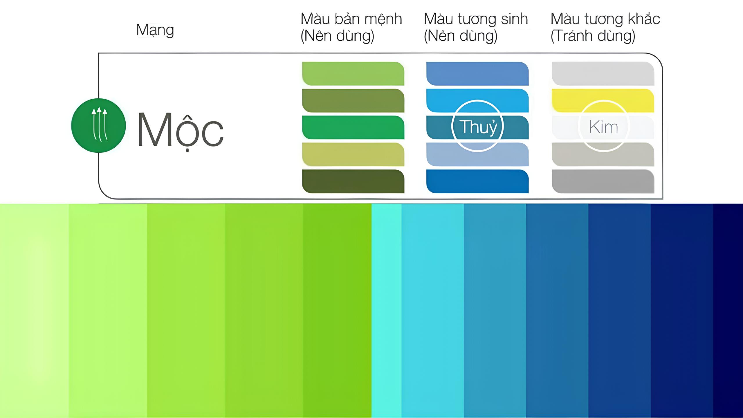 Mệnh Mộc hợp màu gì? Mệnh Mộc kỵ màu gì?