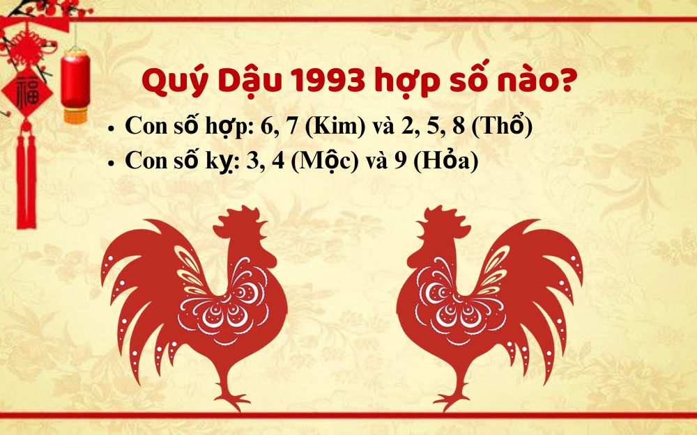 Người sinh 1993 thuộc mệnh gì hợp số nào?