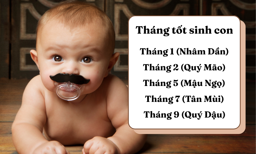Sinh năm 2031 mệnh gì? Tử vi vận mệnh trọn đời tuổi Tân Hợi 2031 7 Sinh con năm 2031 tháng nào tốt