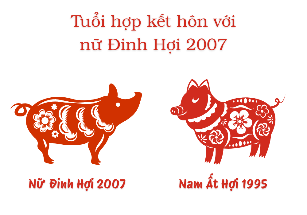 2007 lấy chồng tuổi gì hợp? Nữ 2007 lấy chồng năm nào tốt? 4 Nữ tuổi Đinh Hợi 2007 và Nam tuổi Ất Hợi 1995