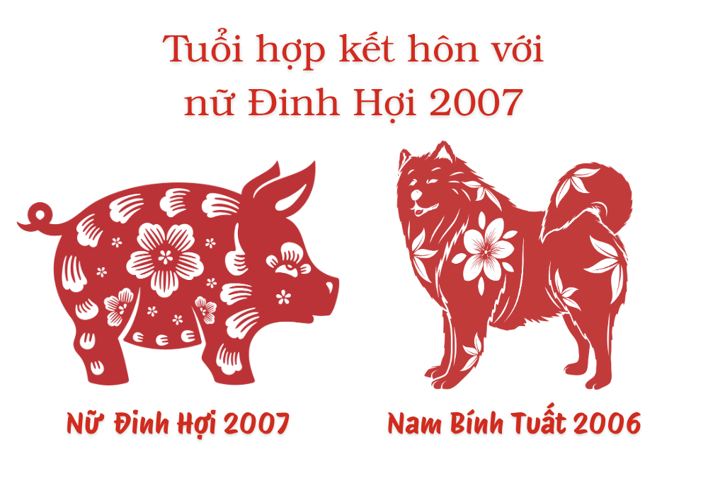 2007 lấy chồng tuổi gì hợp? Nữ 2007 lấy chồng năm nào tốt? 8 Nữ tuổi Đinh Hợi 2007 và Nam tuổi Bính Tuất 2006
