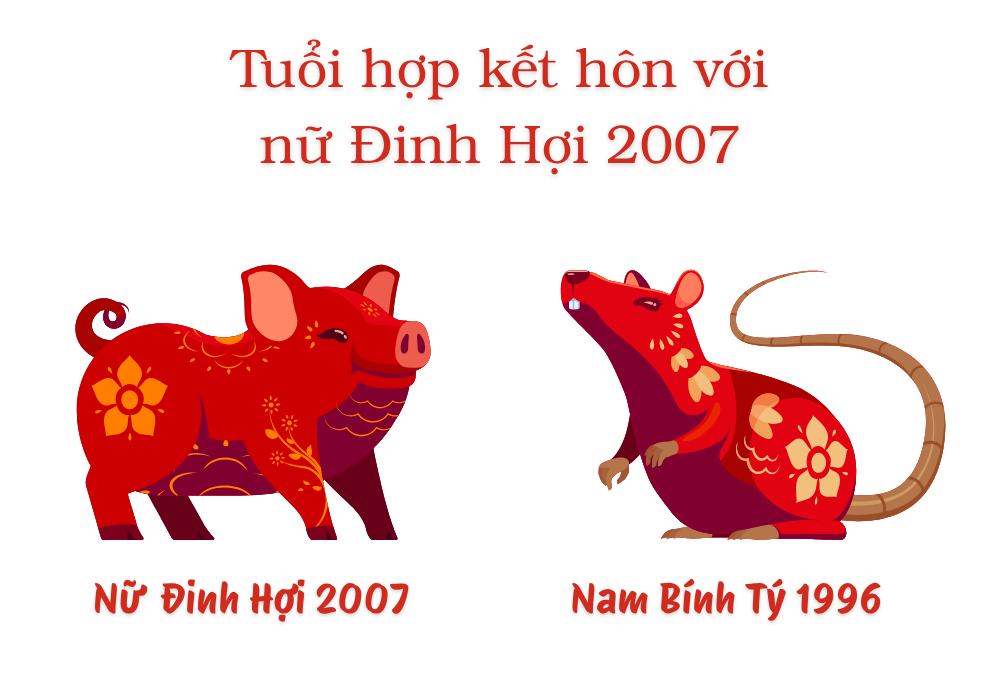 2007 lấy chồng tuổi gì hợp? Nữ 2007 lấy chồng năm nào tốt? 5 Nữ tuổi Đinh Hợi 2007 và Nam tuổi Bính Tý 1996