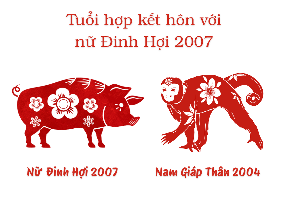 2007 lấy chồng tuổi gì hợp? Nữ 2007 lấy chồng năm nào tốt? 7 Nữ tuổi Đinh Hợi 2007 và Nam tuổi Giáp Thân 2004