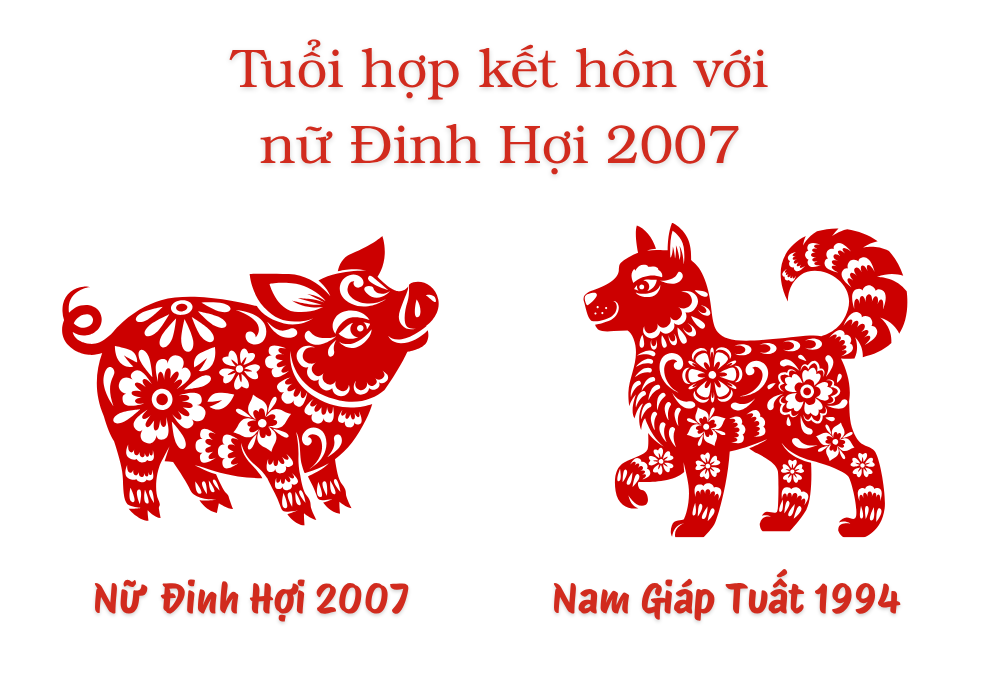 2007 lấy chồng tuổi gì hợp? Nữ 2007 lấy chồng năm nào tốt? 3 Nữ tuổi Đinh Hợi 2007 và Nam tuổi Giáp Tuất 1994