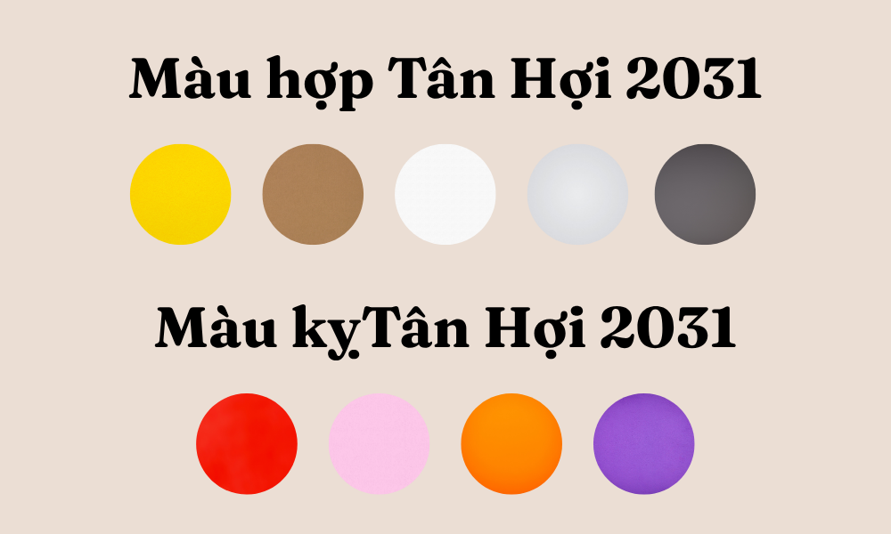Sinh năm 2031 mệnh gì? Tử vi vận mệnh trọn đời tuổi Tân Hợi 2031 8 Màu hợp và kỵ với người sinh năm Tân Hợi 2031