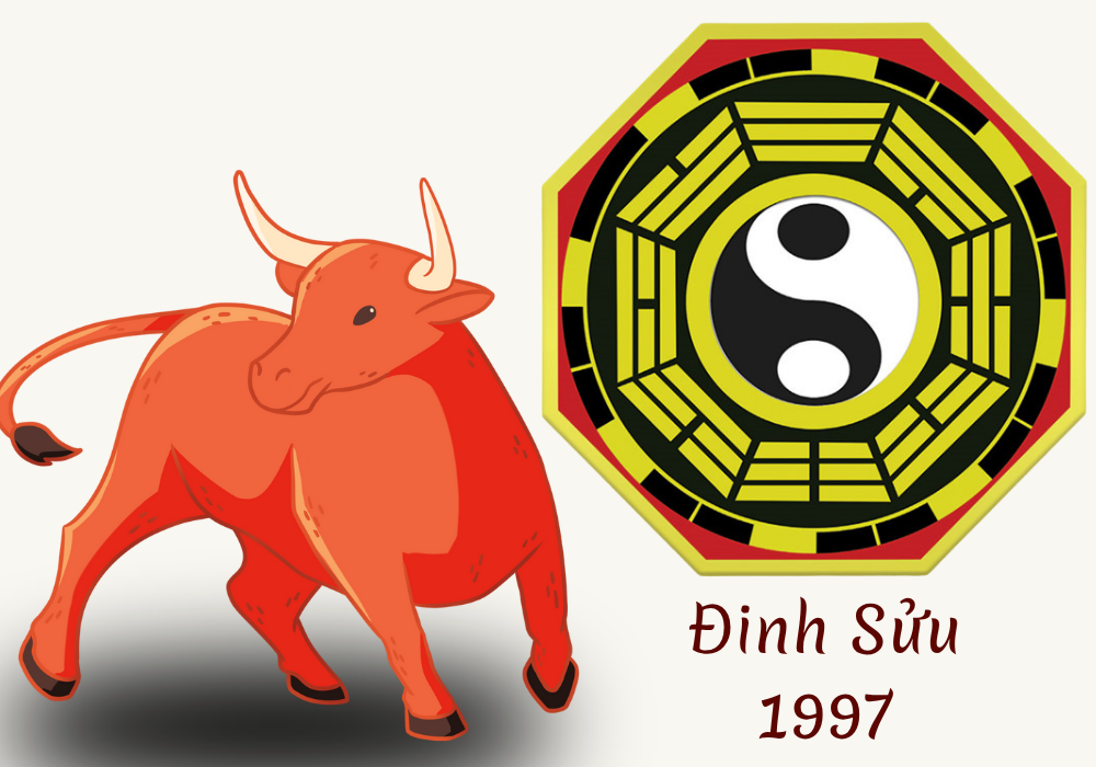 Tổng quan tử vi nữ tuổi 1997 Đinh Sửu