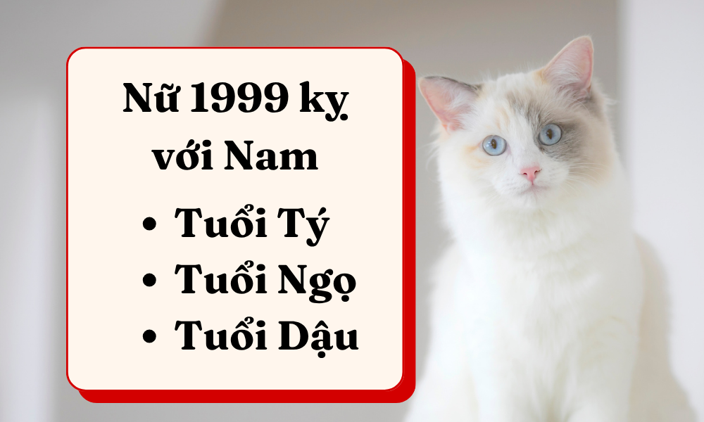 Nữ 1999 lấy chồng tuổi nào hợp để hôn nhân viên mãn cả đời? 8 Tuổi nam nào kỵ với nữ 1999