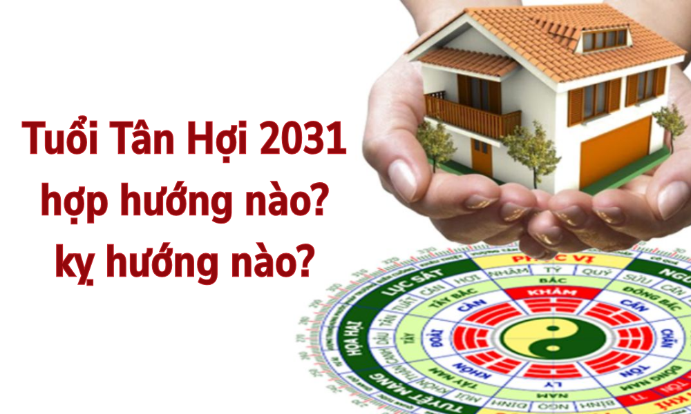 Sinh năm 2031 mệnh gì? Tử vi vận mệnh trọn đời tuổi Tân Hợi 2031 10 Tuổi Tân Hợi 2031 hợp và kỵ hướng nào