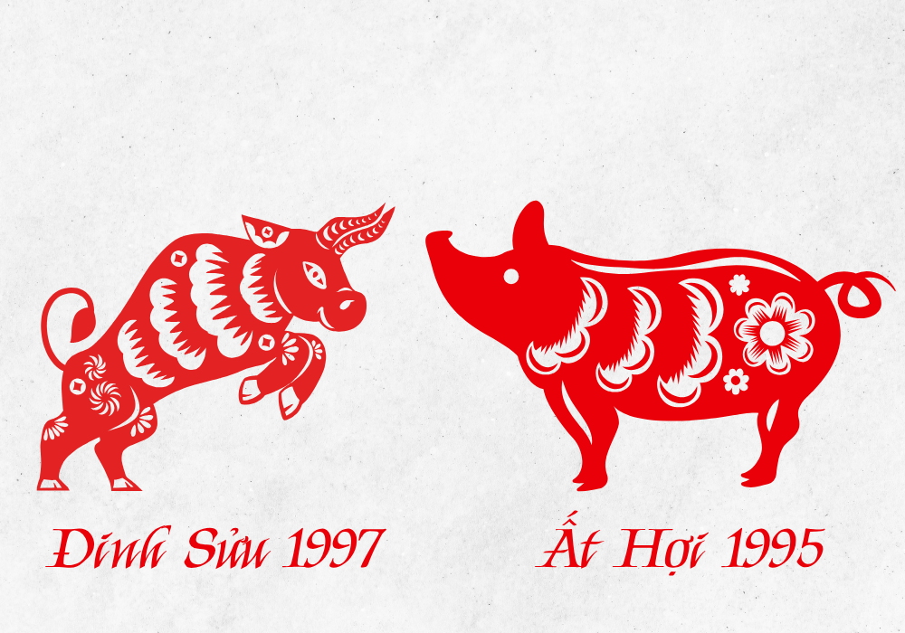 Vợ Đinh Sửu 1997 - Chồng Ất Hợi 1995