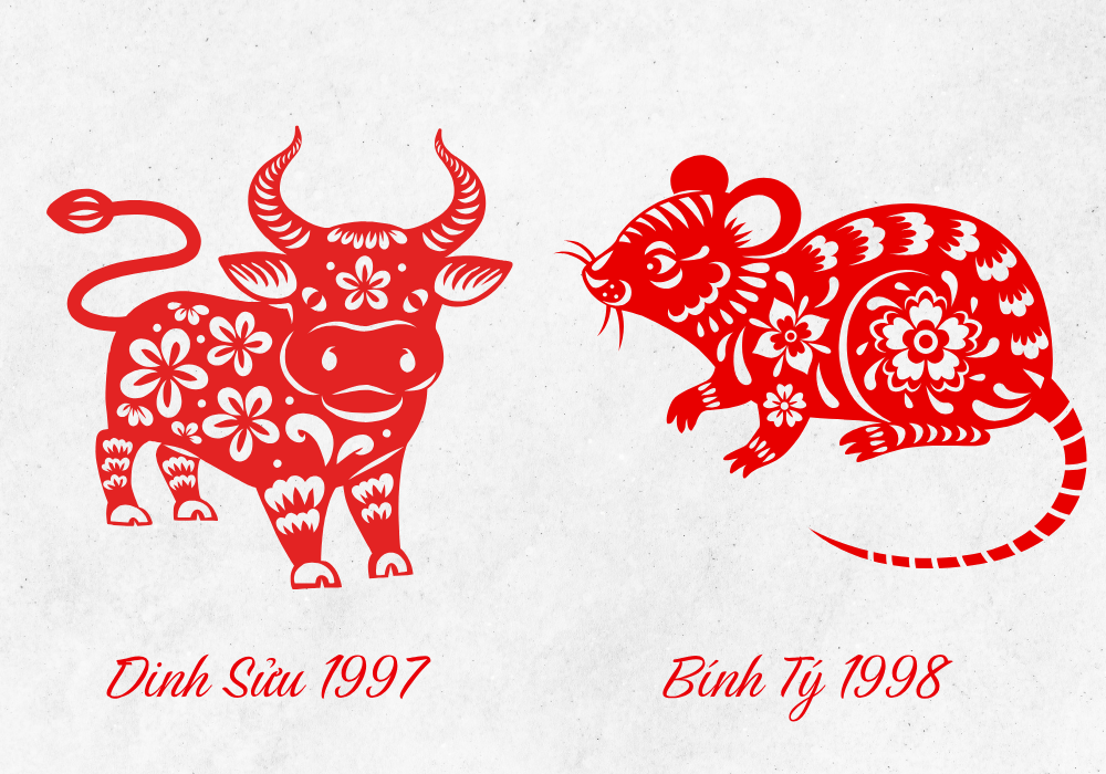 Vợ Đinh Sửu 1997 - Chồng Bính Tý 1996
