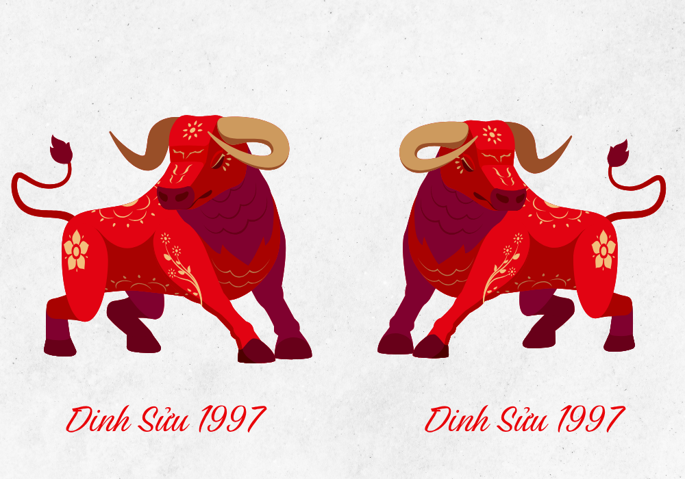 Vợ Đinh Sửu 1997 - Chồng Đinh Sửu 1997
