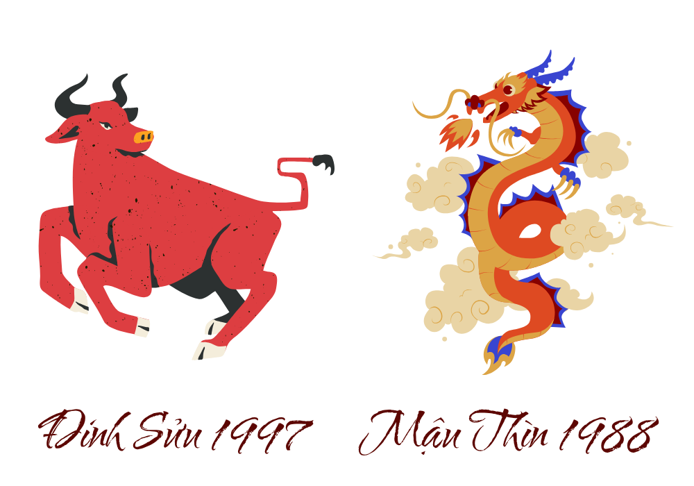 Vợ Đinh Sửu 1997 - Chồng Mậu Thìn 1988