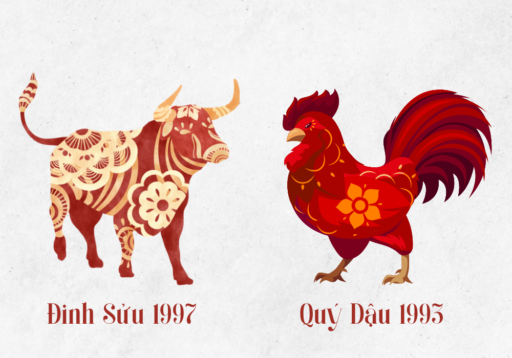 Vợ Đinh Sửu 1997 - Chồng Quý Dậu 1993
