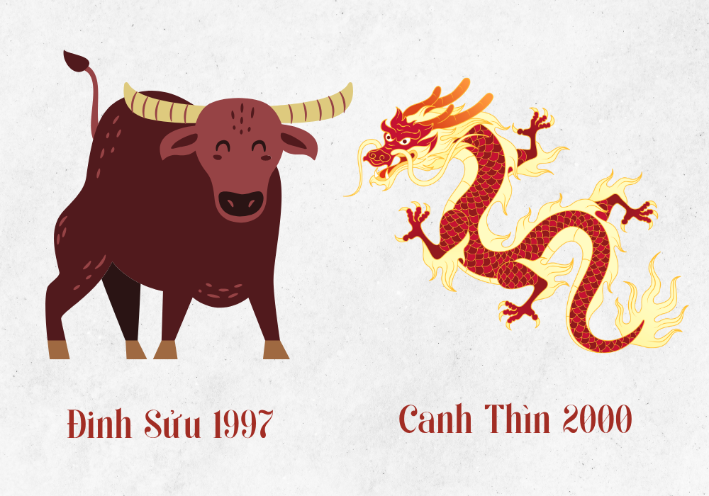 Vợ Đinh Sửu 1997 - Nam Canh Thìn 2000