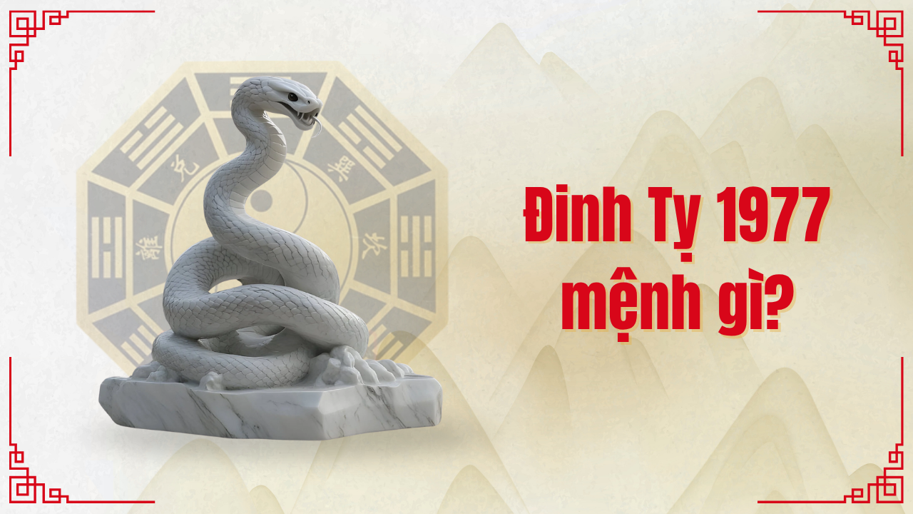 1977 mệnh gì
