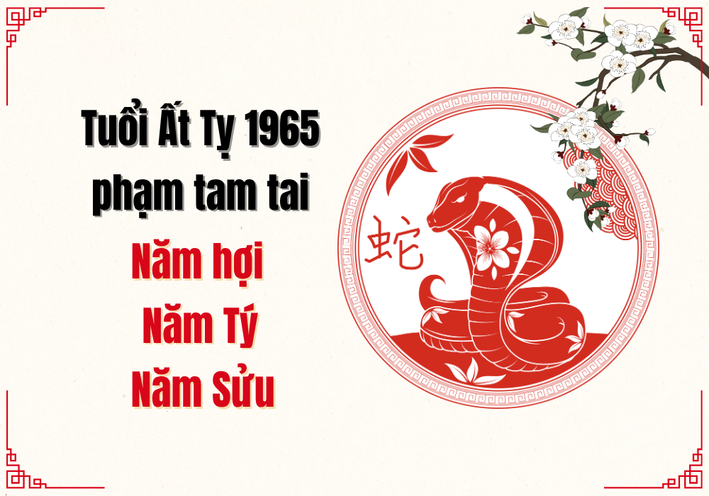 Năm Tam Tai tuổi Ất Tỵ 1965
