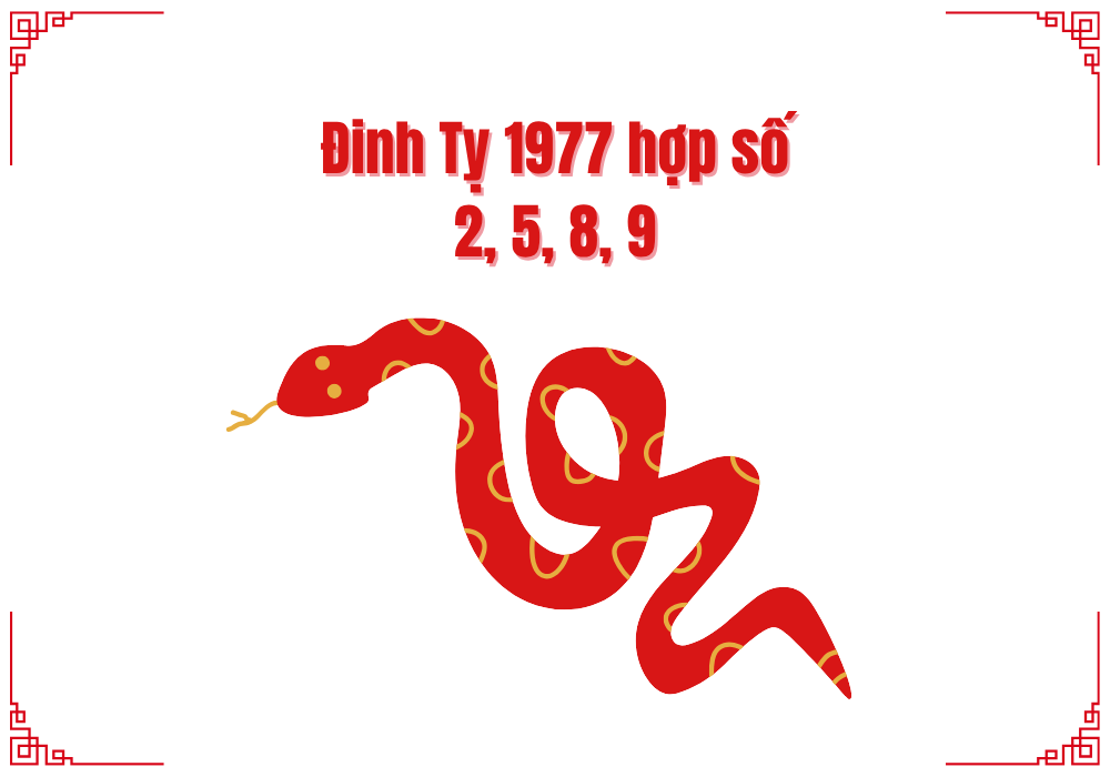 Số phong thuỷ cho người sinh năm 1977