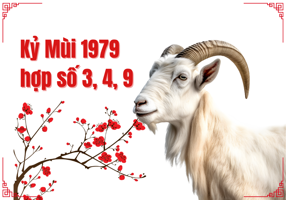 1979 mệnh gì? Nam nữ tuổi 1979 hợp màu gì hợp tuổi nào? 9 Những con số phong thuỷ hợp với tuổi Kỷ Mùi 1979