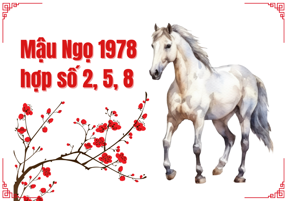 Số phong thuỷ hợp tuổi 1978