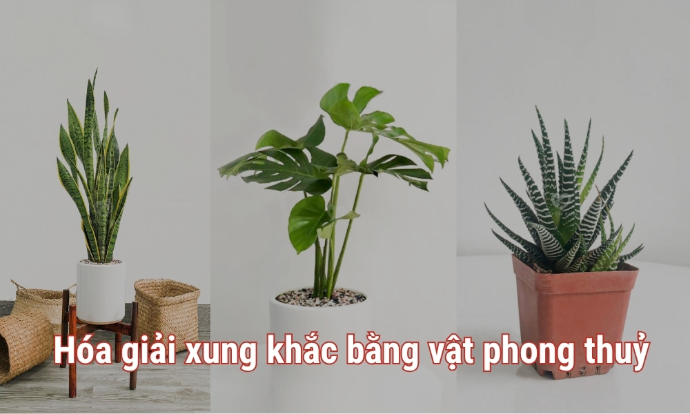Xem tuổi kết hôn vợ chồng hợp không? Bảng xem tuổi kết hôn 5 Hoá giải xung khắc vợ chồng không hợp tuổi kết hôn bằng vật phong thuỷ