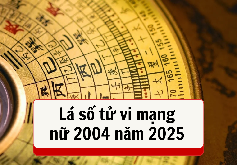 Lá số tử vi nữ 2004 năm 2025