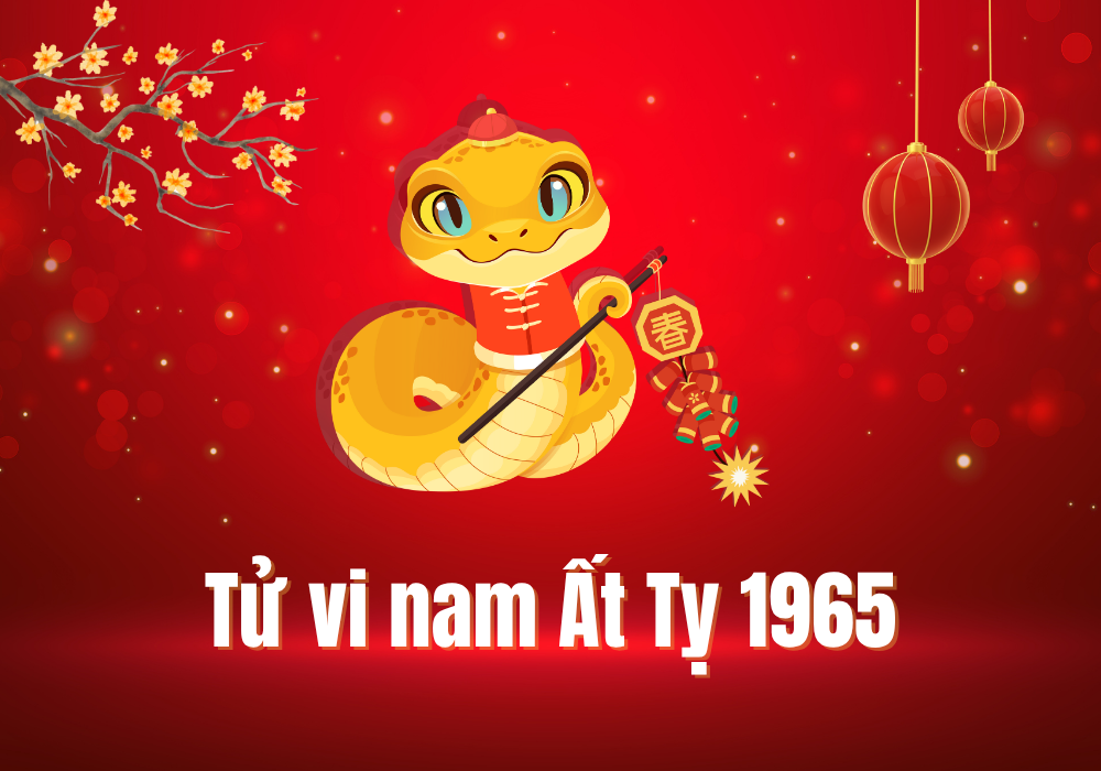 Lá số tử vi nam mạng Ất Tỵ 1965