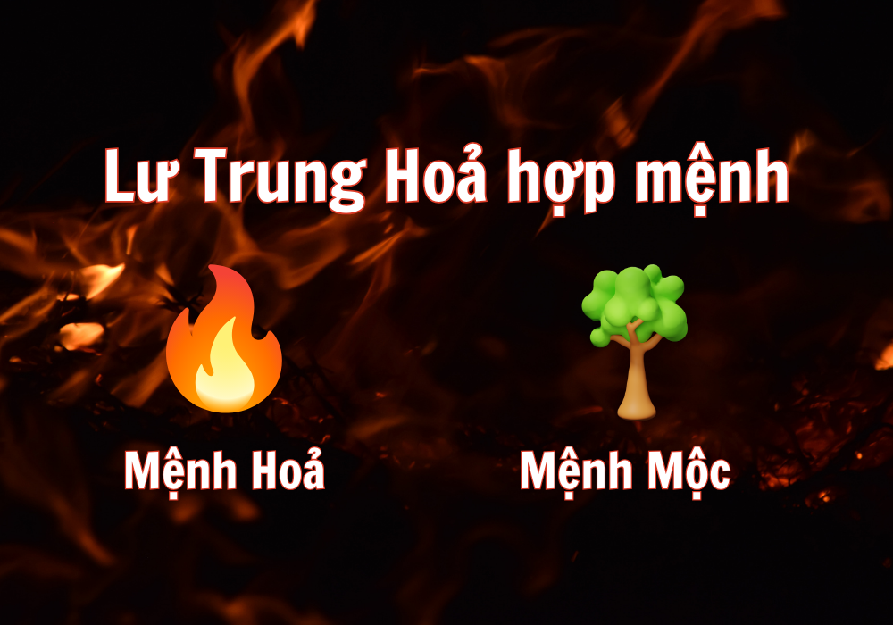 Lư Trung Hỏa là gì? Sinh năm nào? Tử vi mệnh Lư Trung Hỏa 5 Mệnh Lư Trung Hoả hợp mệnh gì