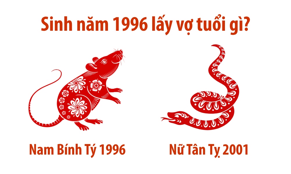 Nam sinh năm 1996 lấy vợ tuổi gì để hôn nhân viên mãn? 7 Nam Bính Tý 1996 lấy vợ tuổi Tân Tỵ 2001