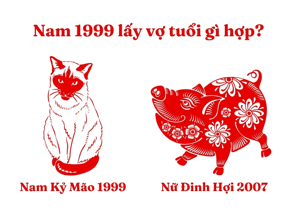 Nam 1999 lấy vợ tuổi gì hợp nhất? 1999 lấy vợ năm nào tốt? 9 Nam Kỷ Mão 1999 lấy Nữ Đinh Hợi 2007