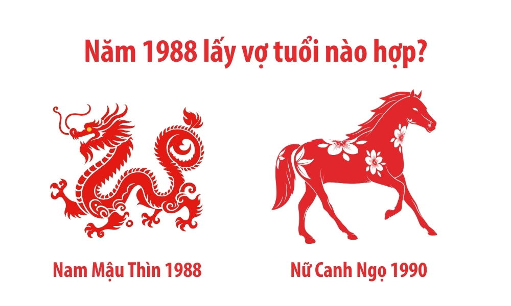 NAM 1988 HỢP LẤY VỢ TUỔI DẬU HOẶC TÝ ĐỂ HẠNH PHÚC BỀN LÂU