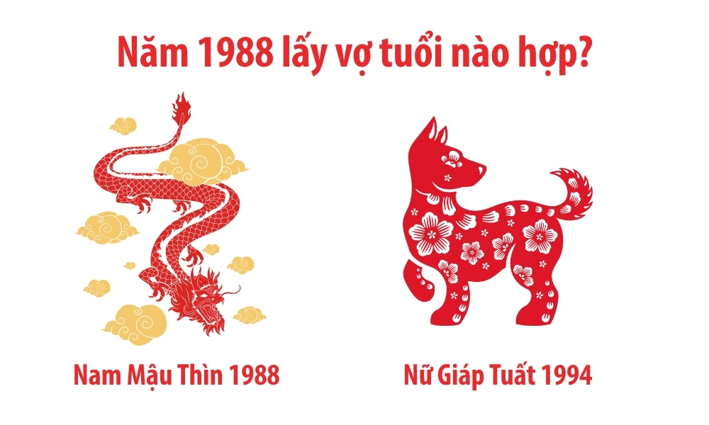 NỮ 1988 NÊN KẾT HÔN VỚI CHỒNG TUỔI TÝ HOẶC THÂN ĐỂ GIA ĐẠO AN YÊN