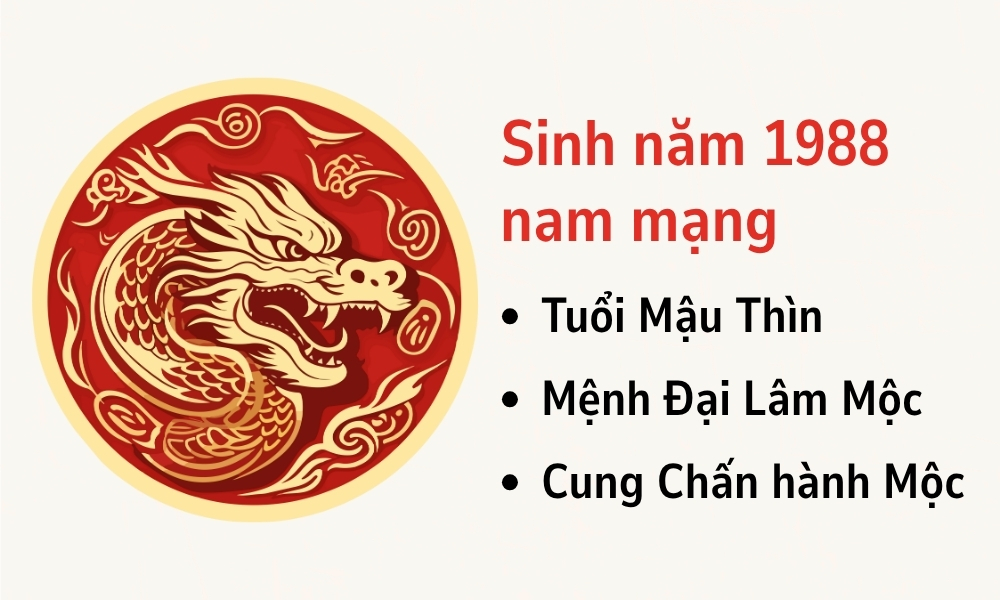 TỬ VI TUỔI ĐINH MÃO 1987 HỢP TÁC LÀM ĂN VỚI CÁC TUỔI MAY MẮN