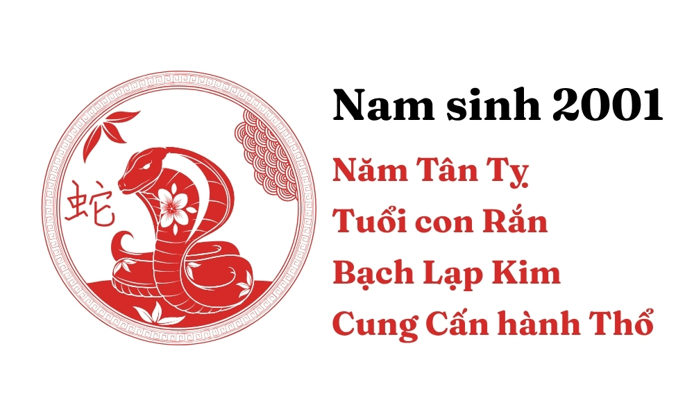 Sinh năm 2001 lấy vợ tuổi nào hợp để phú quý, viên mãn? 2 Biết 2001 mệnh gì cung gì để luận giải năm 2001 lấy vợ tuổi nào hợp
