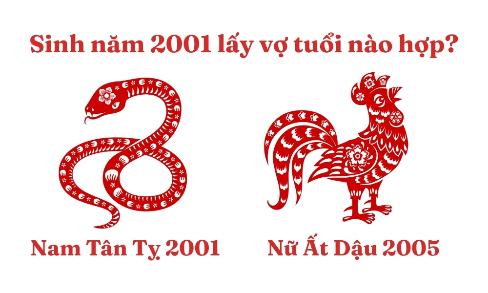 Sinh năm 2001 lấy vợ tuổi nào hợp để phú quý, viên mãn? 7 Nam Tân Tỵ 2001 lấy vợ tuổi Ất Dậu 2005