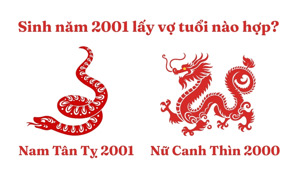 Sinh năm 2001 lấy vợ tuổi nào hợp để phú quý, viên mãn? 4 Nam Tân Tỵ 2001 lấy vợ tuổi Canh Thìn 2000