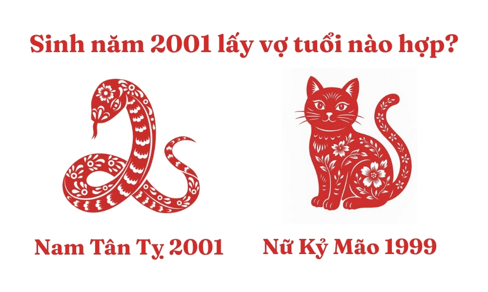 Sinh năm 2001 lấy vợ tuổi nào hợp để phú quý, viên mãn? 3 Nam Tân Tỵ 2001 lấy vợ tuổi Kỷ Mão 1999