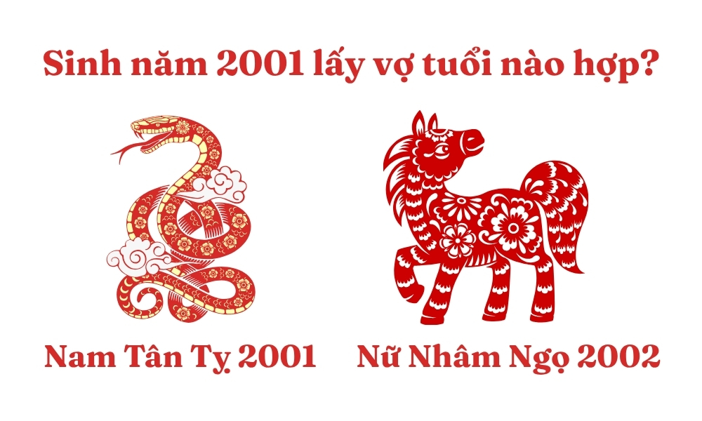 Sinh năm 2001 lấy vợ tuổi nào hợp để phú quý, viên mãn? 6 Nam Tân Tỵ 2001 lấy vợ tuổi Nhâm Ngọ 2002