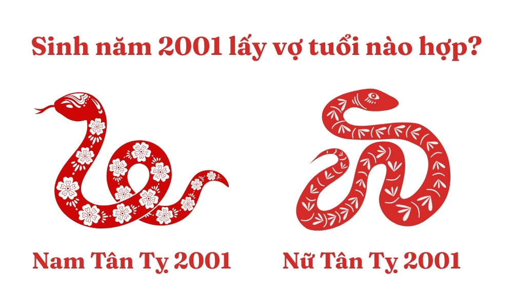 Sinh năm 2001 lấy vợ tuổi nào hợp để phú quý, viên mãn? 5 Nam Tân Tỵ 2001 lấy vợ tuổi Tân Tỵ 2001