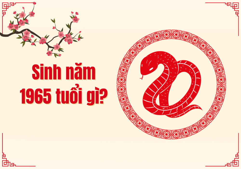 Sinh năm 1965 tuổi gì