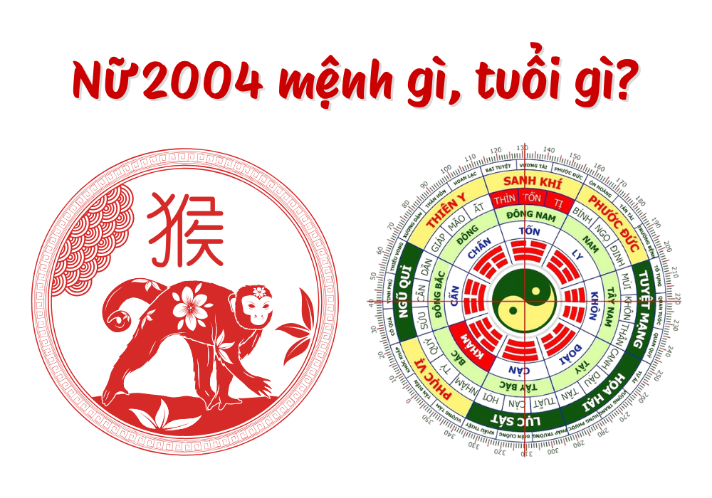 Nữ 2004 mệnh gì tuổi gì cung mệnh gì